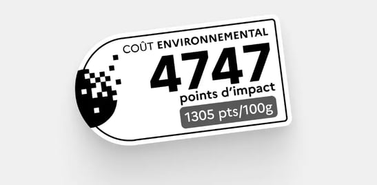 cout-environnemental-1
