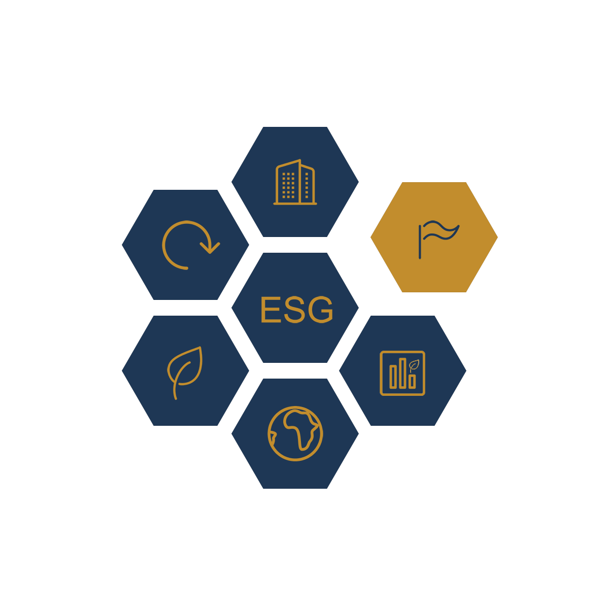 ESG_Grafik_blau_gold