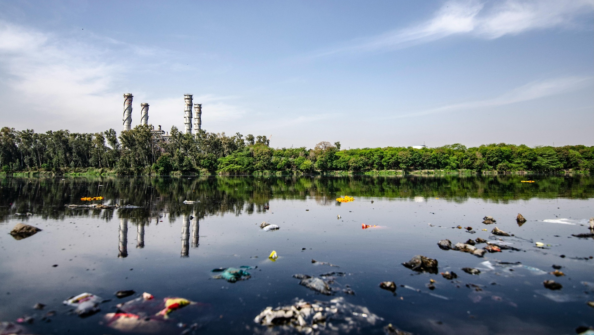 The Future of Packaging: A Guide for the New EU Packaging & Packaging Waste Regulation